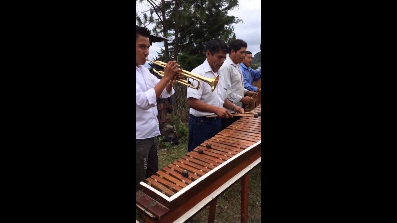 La cumbia del brinquito