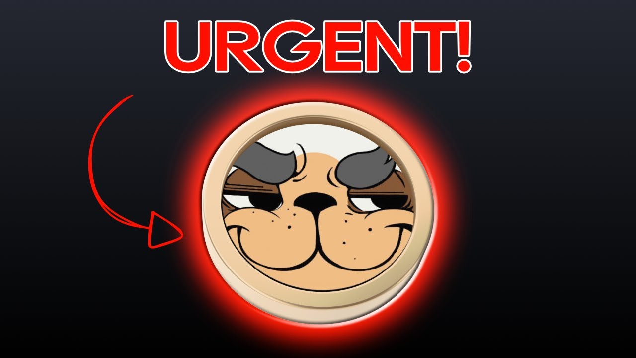 Earn 15% Per Day: Mad Meerkat Optimizer $MMO (URGENT)