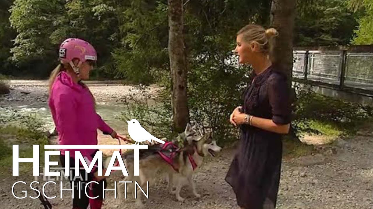 Heimatgschichtn - Zughundesport aus Grainau