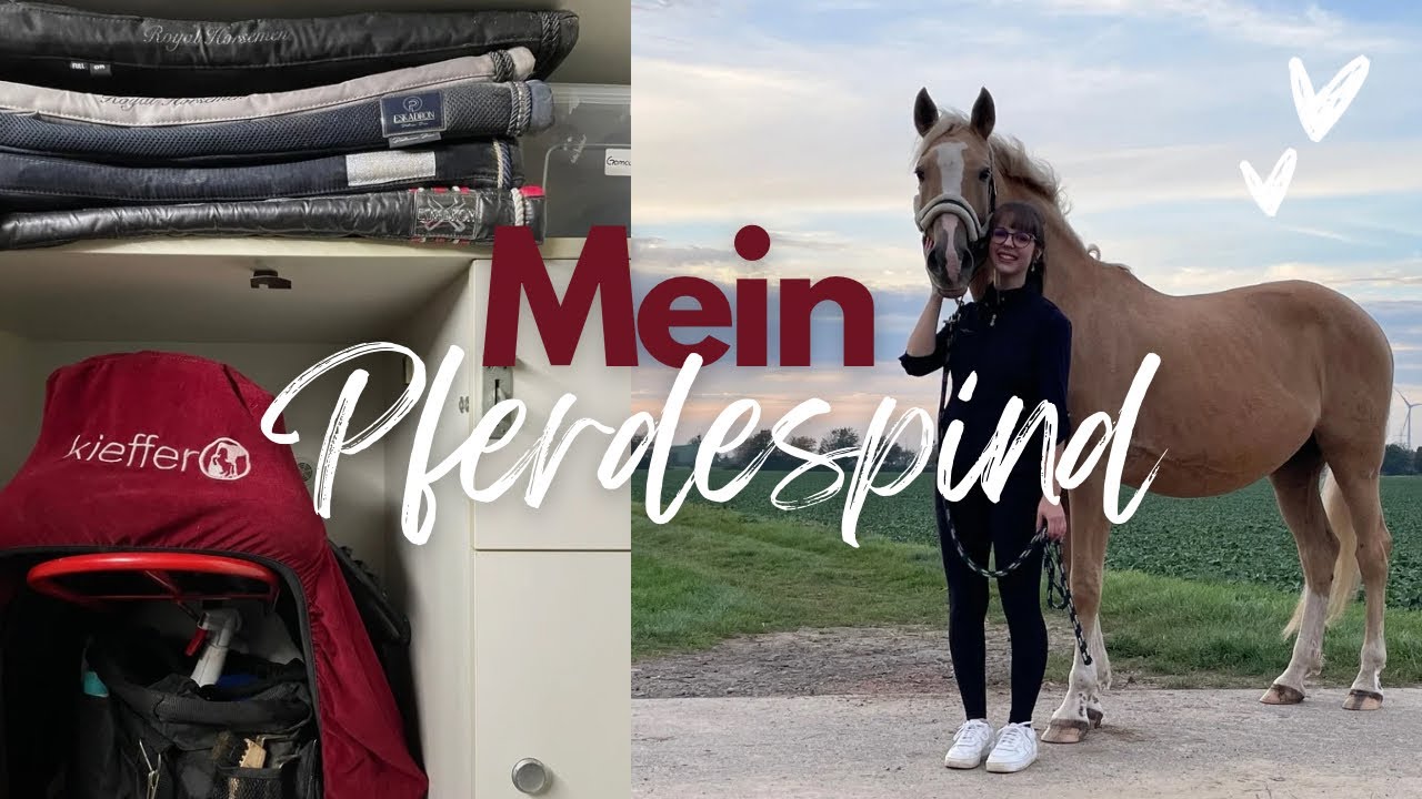 MEIN PFERDESPIND✨