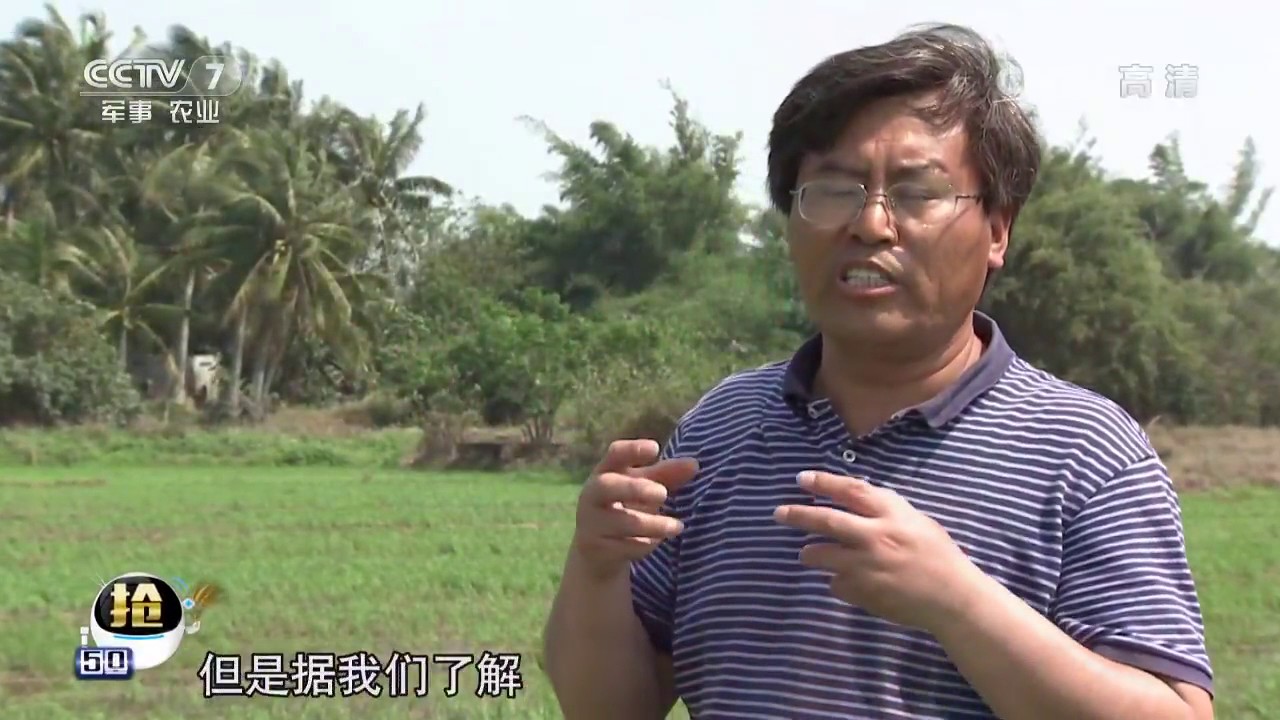 20170425 科技苑  重度盐碱地 作物长疯了