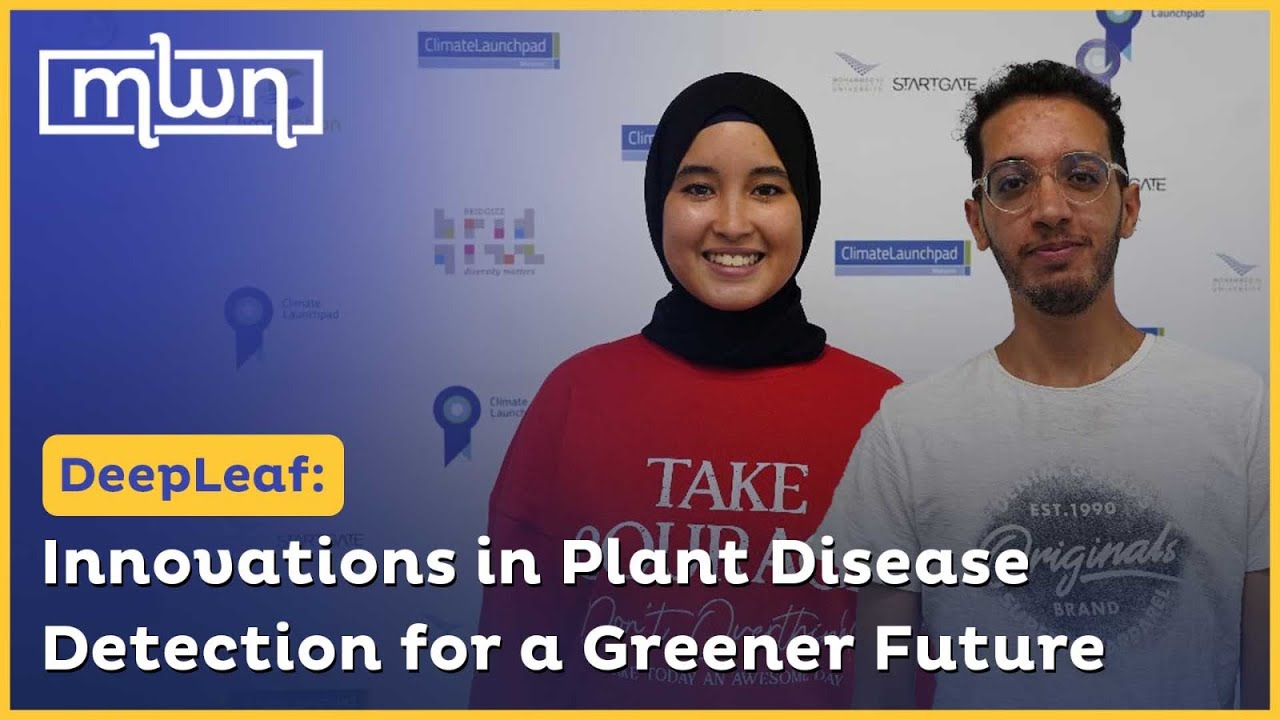 DeepLeaf: Innovations in Plant Disease Detection for a Greener Future