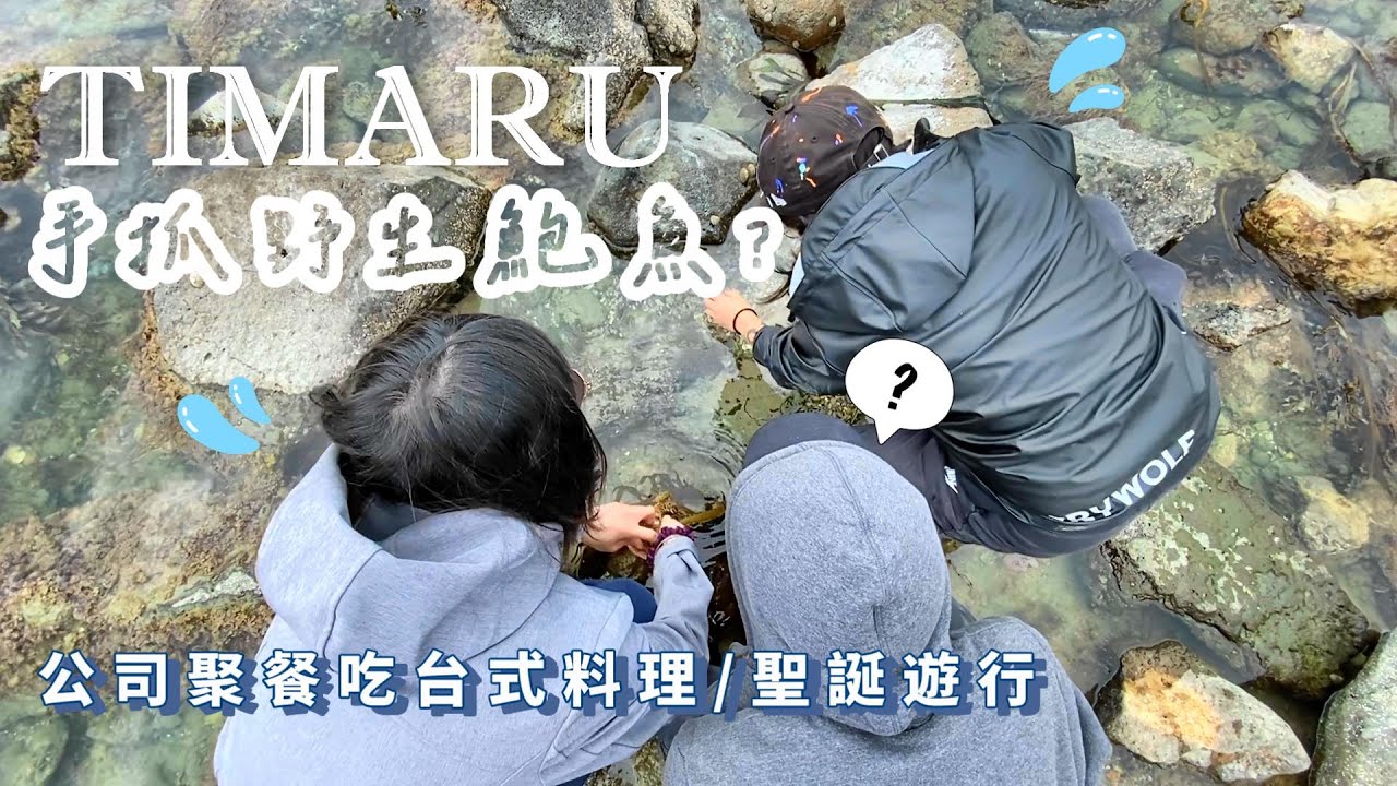 紐西蘭Timaru海邊抓鮑魚✨公司聚餐吃FORMOSA🧋/鎮上聖誕遊行/肉眼可見粉色南極光