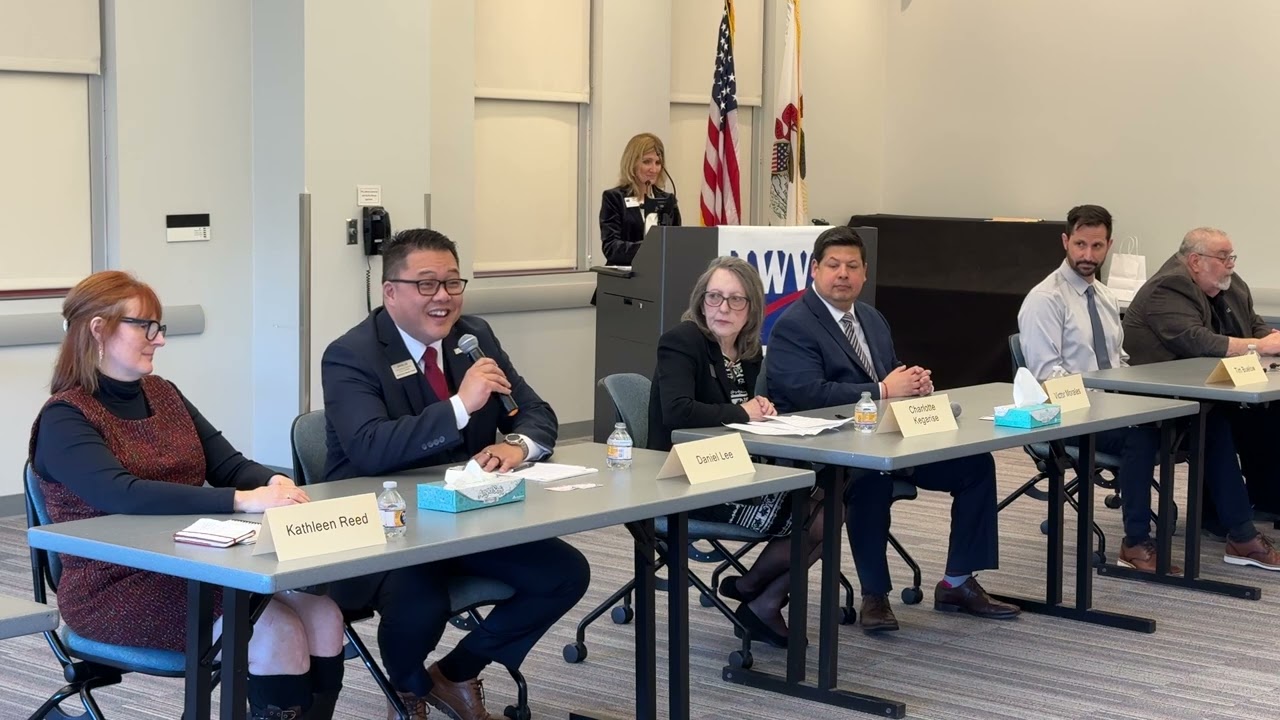 Schaumburg Township Board:  Clerk, Assessor and Highway Commissioner