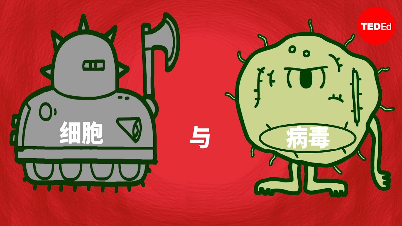 细胞与病毒：为健康而战 - Shannon Stiles