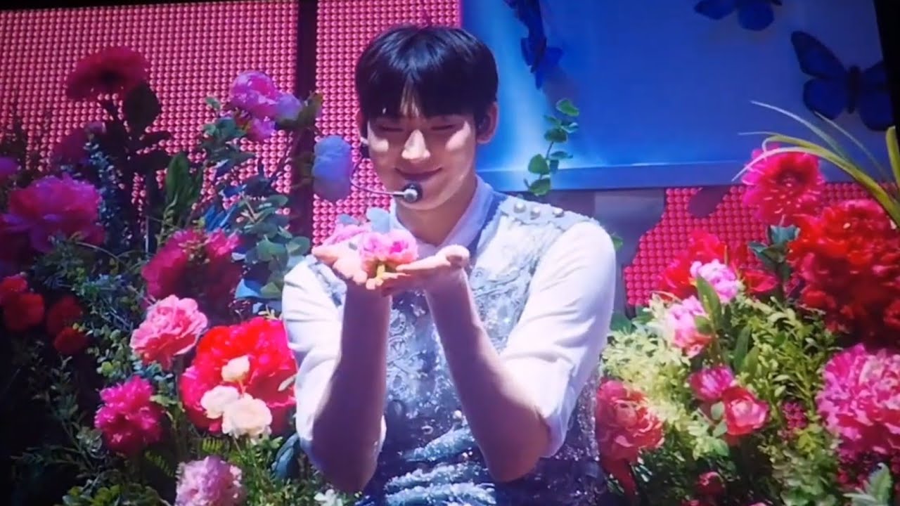 ENHYPEN WALK THE LINE SUMMER EDITION - XO ( if you say yes) + other songs / 05.03.2026 