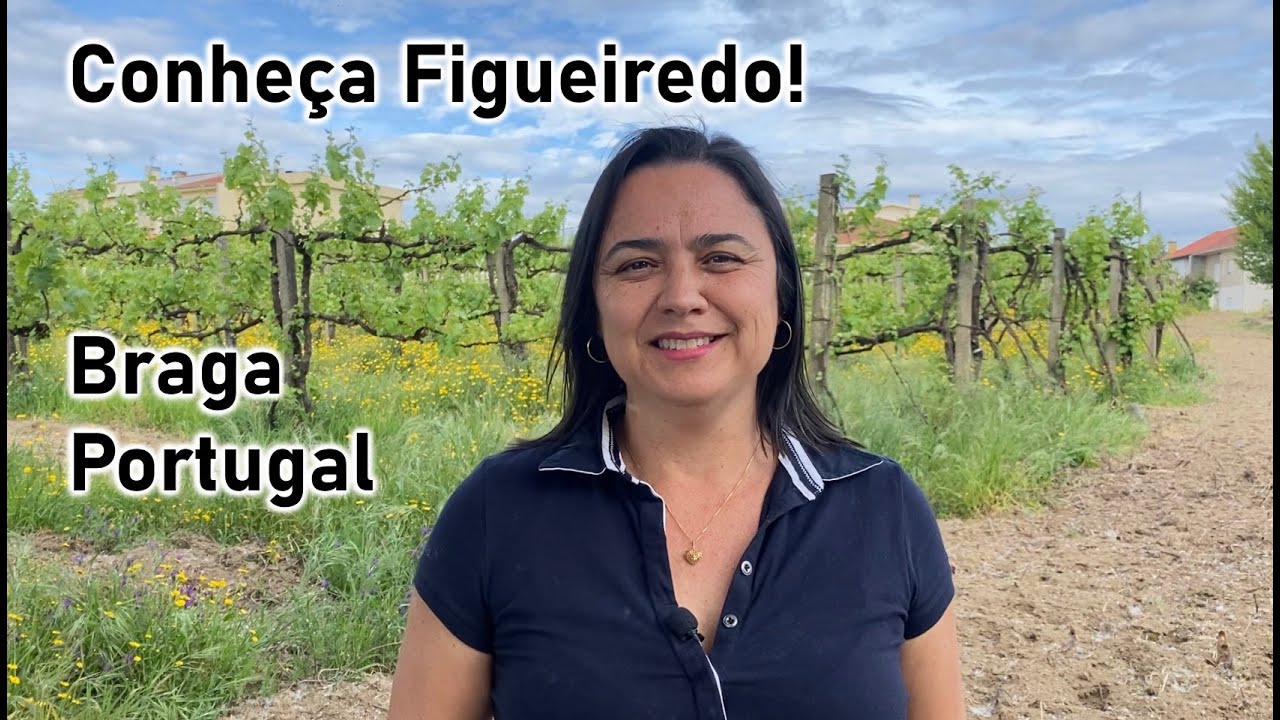 VIVER EM BRAGA: PORTUGAL - FREGUESIA DE FIGUEIREDO