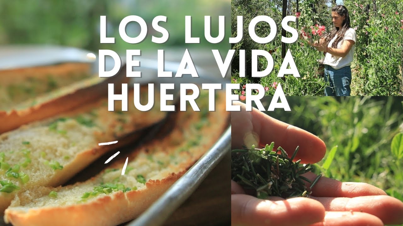 Los lujos de la vida Huertera | Para comer como Reyes y Reinas