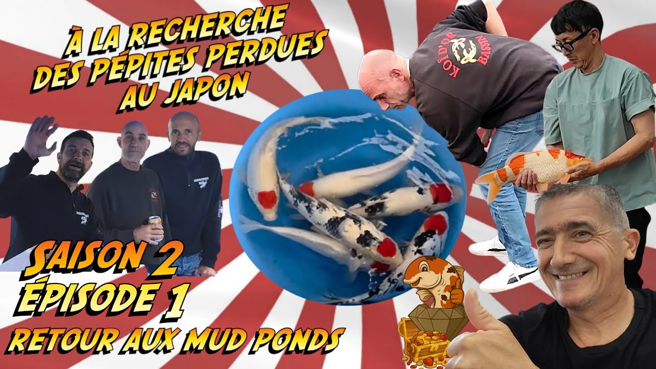 Koï d’Or Bassin – Retour aux Mud Ponds À la recherche des pépites perdues au Japon Saison 2 Épi 1