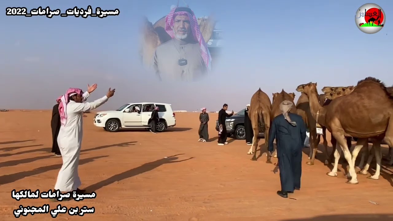 مسيرة فرديات صرامات /ستر بن علي المجنوني