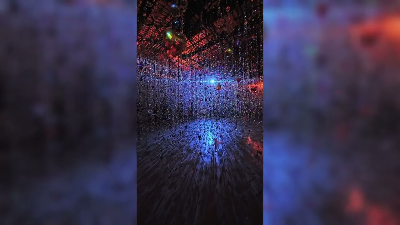 蜷川實花展 彼岸之光 此岸之影觀看紀錄