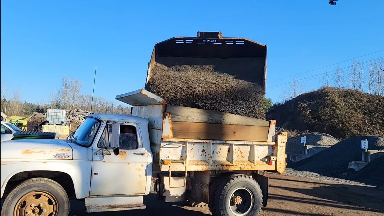 1966 Ford F600 dump truck hauling and dumping gravel