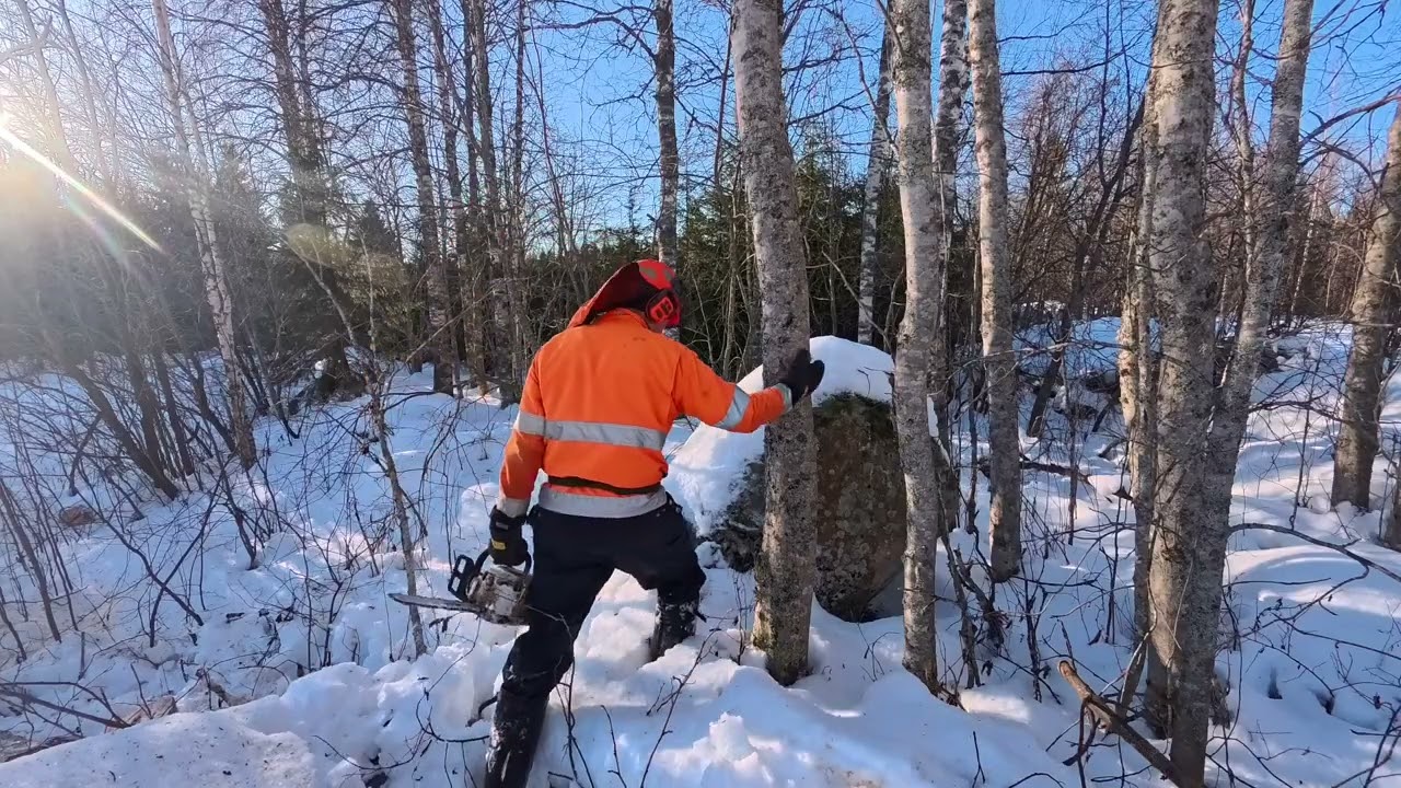 Leppäsavotta jatkuu, nujutaan rauniolla.