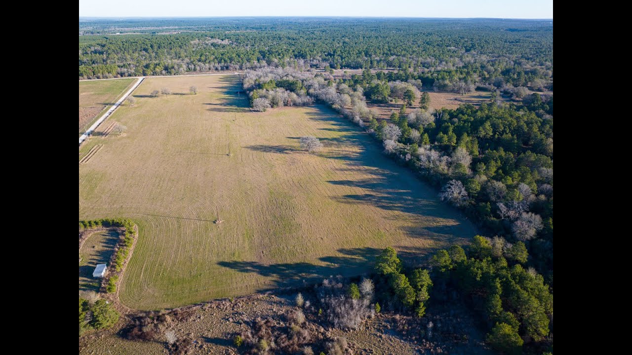 27 Acres | Dickey Loop | Walker Co., Texas