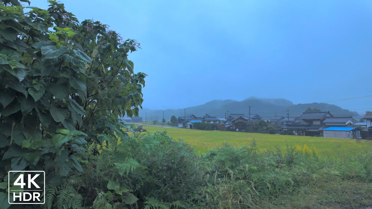 4K Japan Immersive Walk | Tranquil Village Walk During Rainfall in Countryside