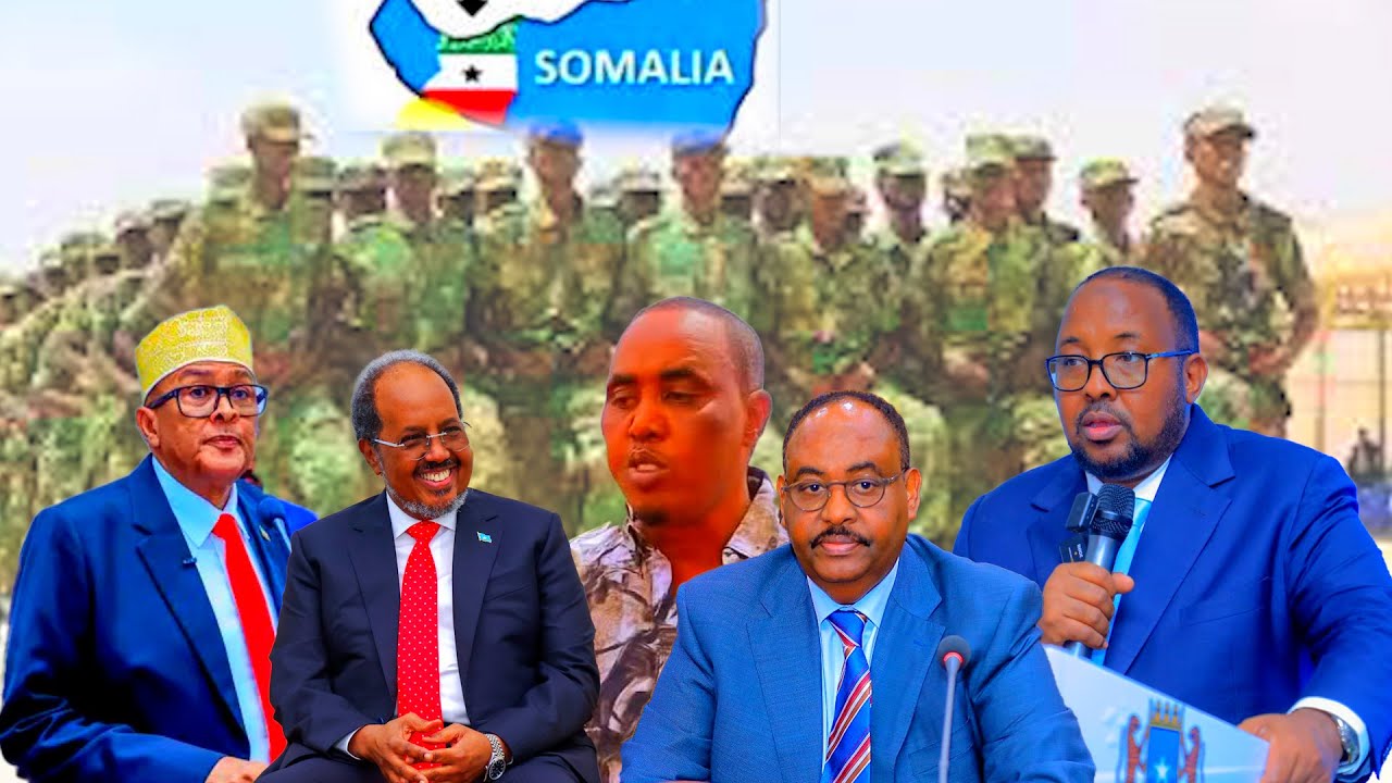 Deg Deg DF Oo Go’aan Cusub Ka Gaartay Madoobe, E-Visa Oo Caqabad Ku Noqday Shacabka S/Land