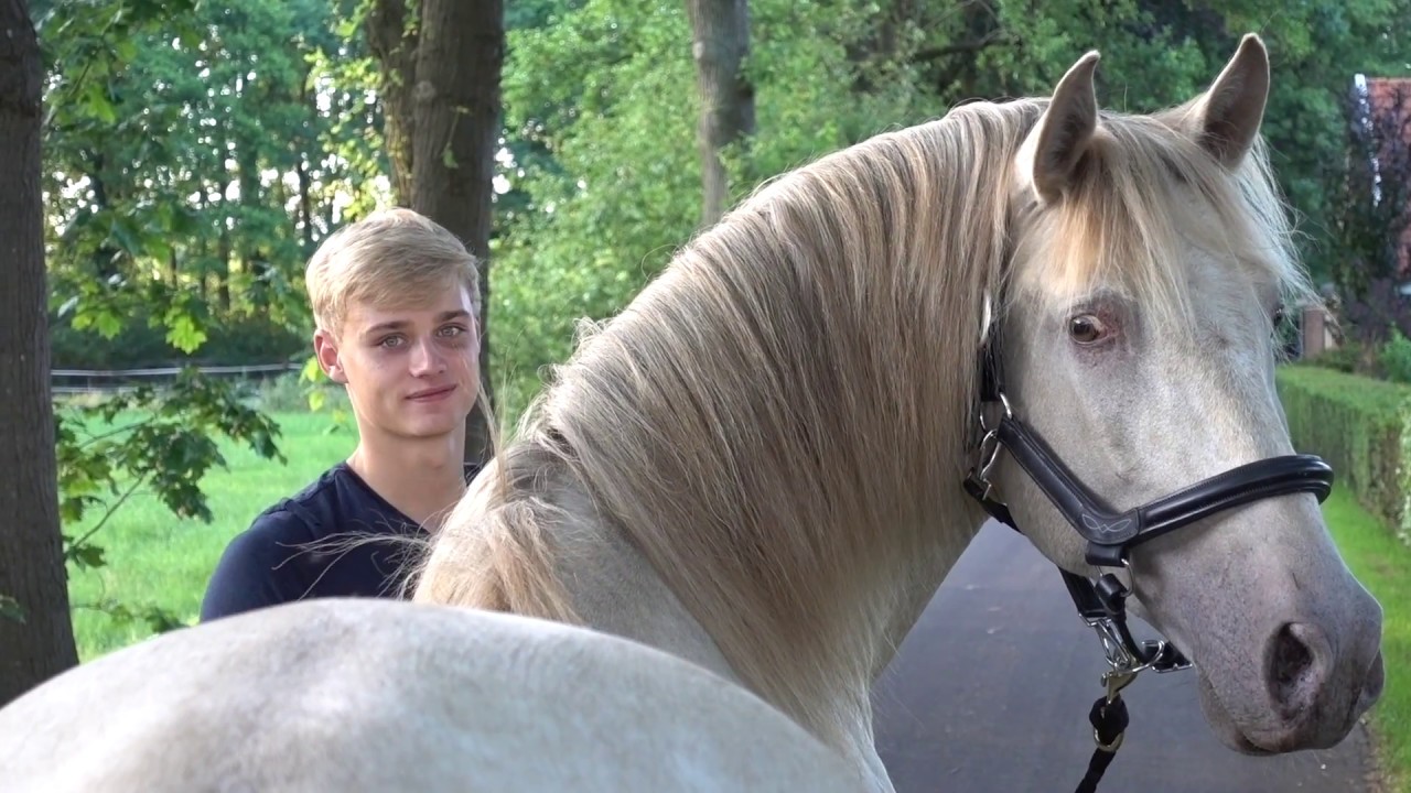 Jesse & Antares: Stap voor stap