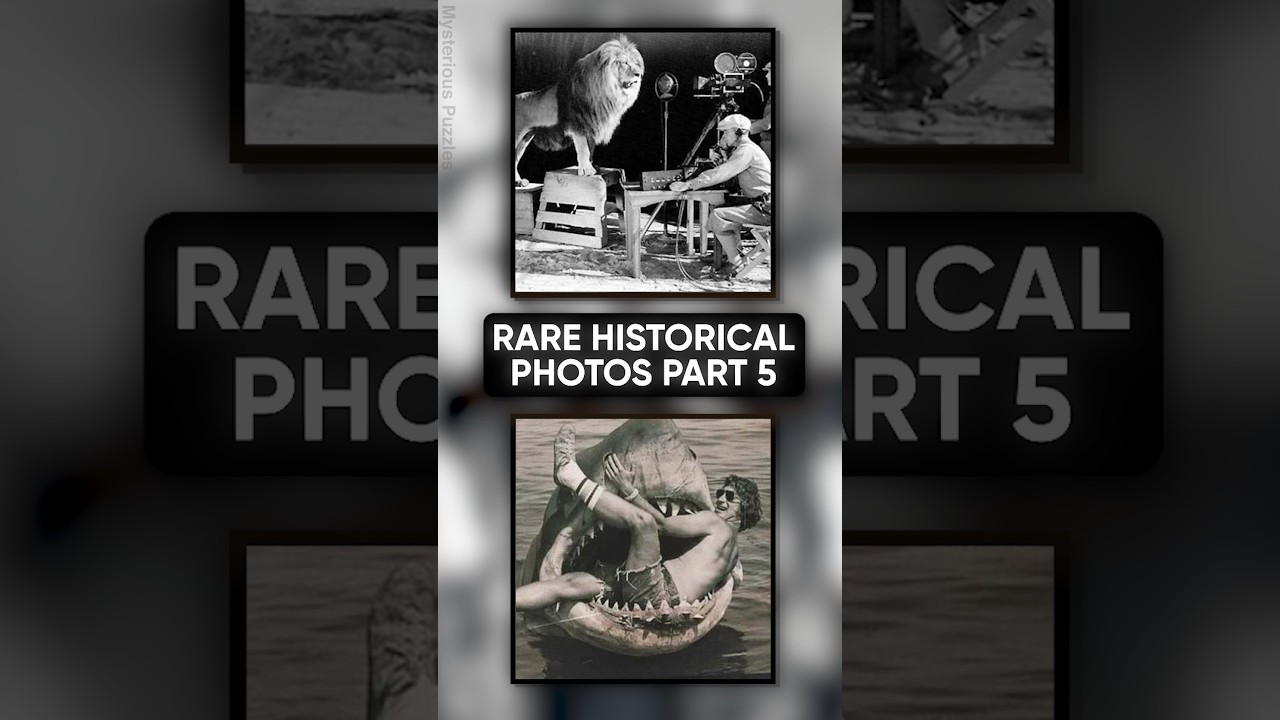 Shark Ate a Man || Rare Historical Photos Part 5 #rarephotos#interesting#trending#shorts