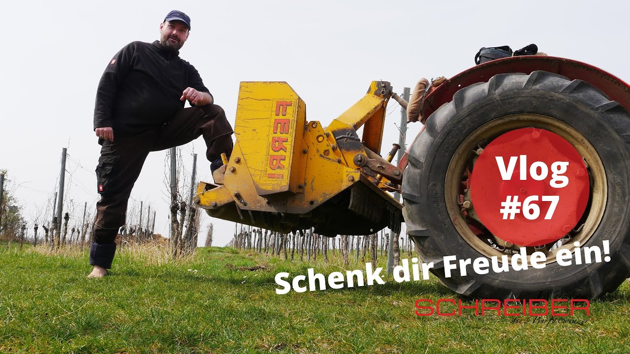 Traktor Power im Weinberg - Mulchen für mehr Nachhaltigkeit! I Vlog #67