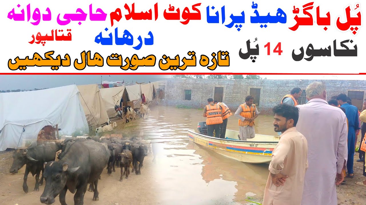 Ravi Flood Head Sidhnai Abdul Hakim Kabirwala 14 Pul Punjab New Sorathal 8 9 2025 News Bhola Team