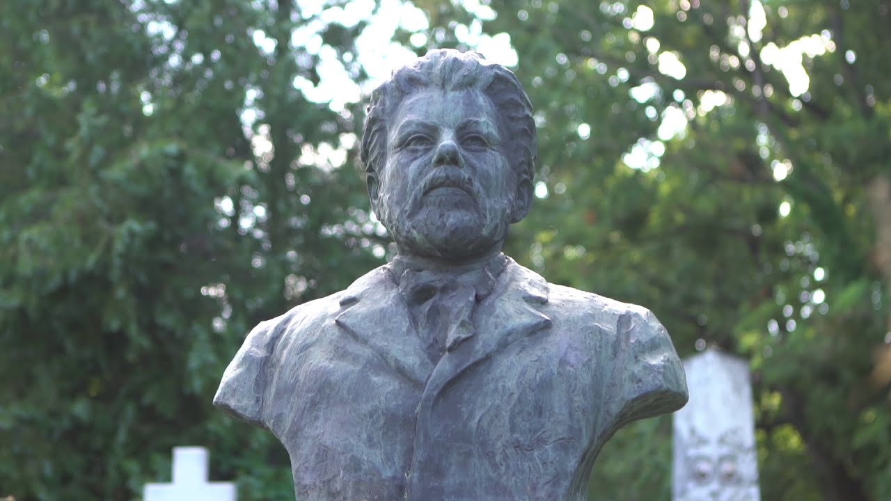 LECȚIA DE LITERATURA