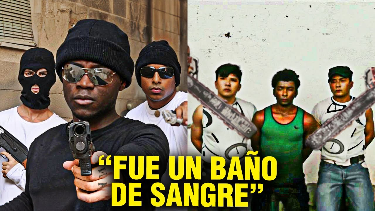5 Pandillas Que Se Metieron Con Los C&aacute;rteles Equivocados