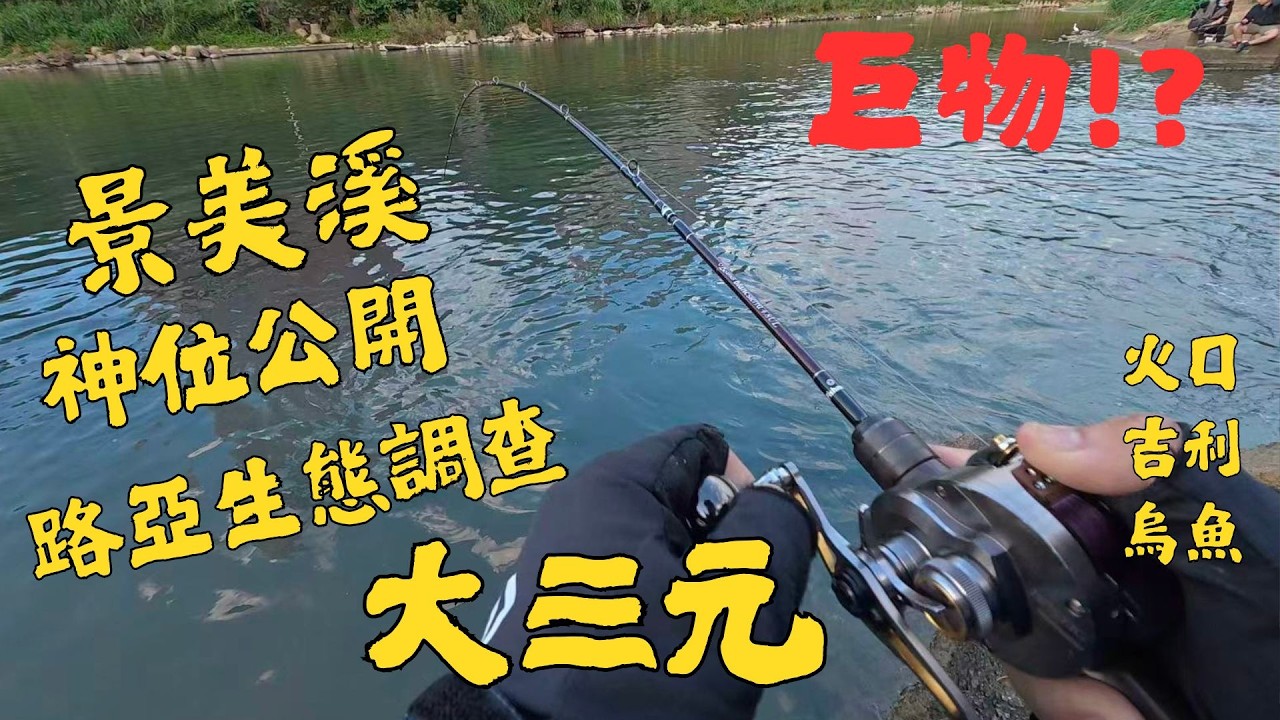 景美溪大三元達成 神位公開！吉利慈鯛、火口、烏魚一次滿足 #路亞 #路亞釣魚 #自由釣組 #fishing 