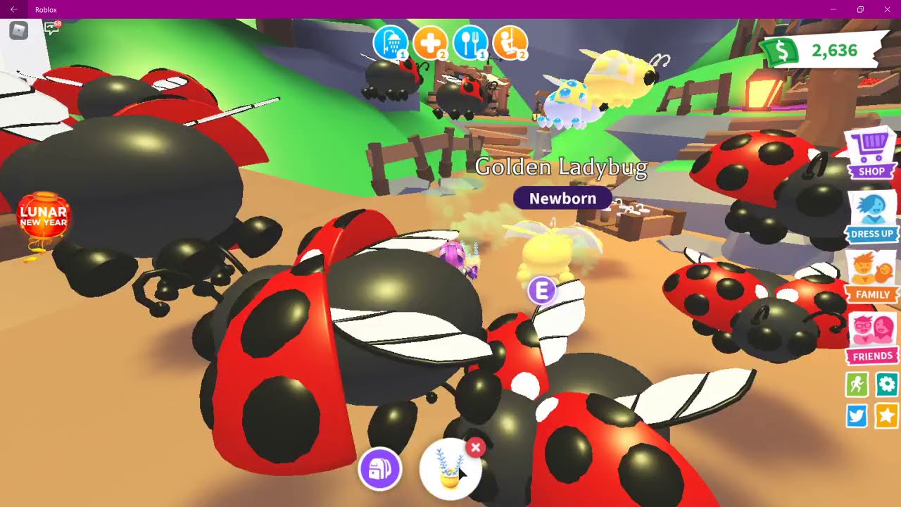 Roblox Adopt Me - Diamond Ladybug