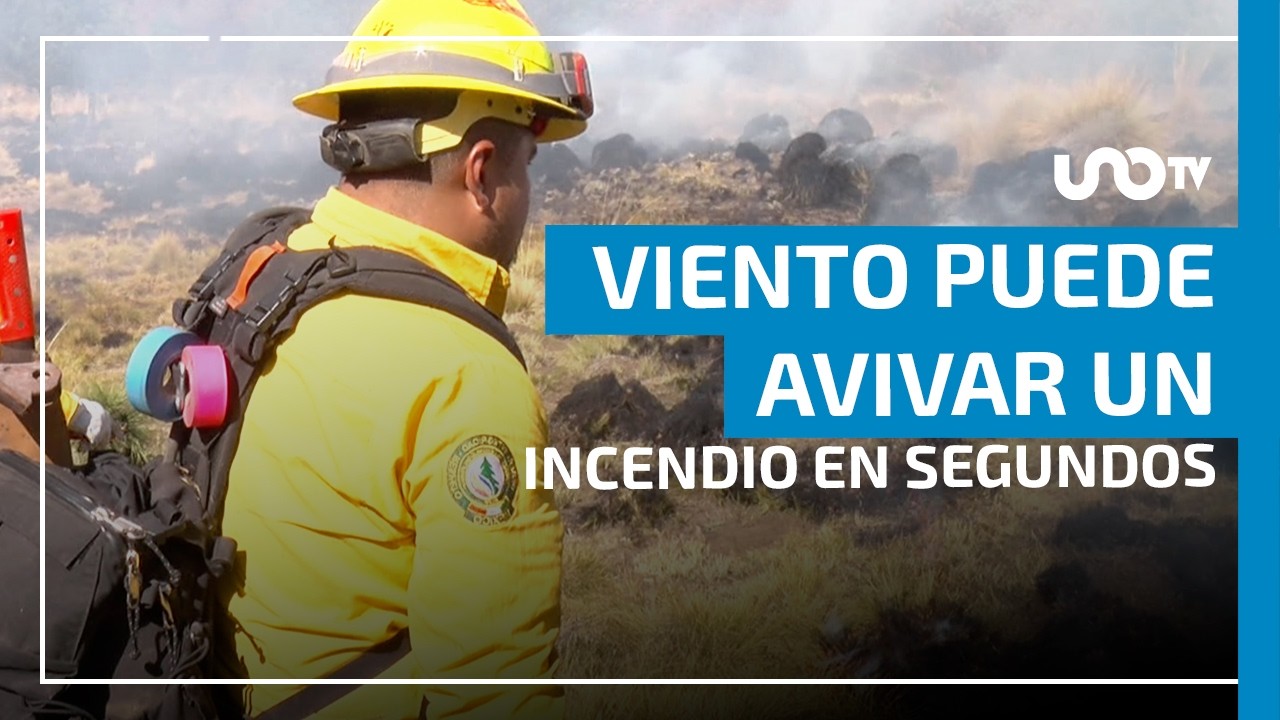 Quemas prescritas: la estrategia de Conafor frente a incendios forestales