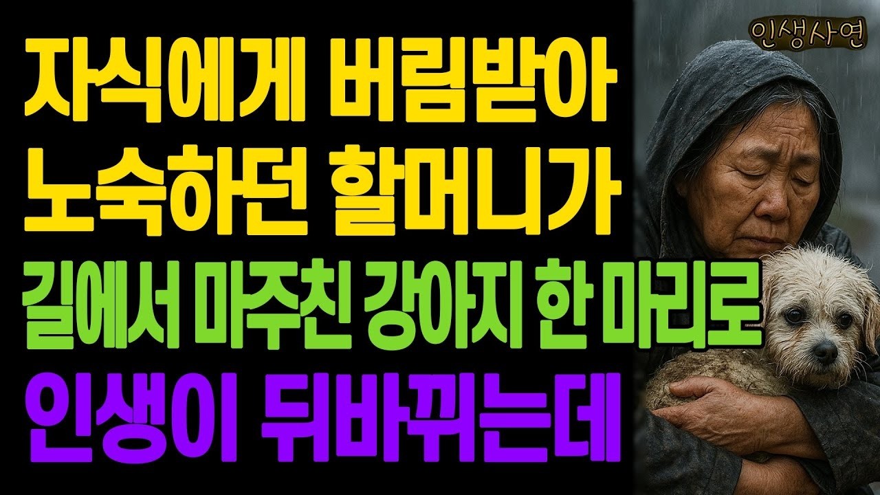 자식에게 버림받아 노숙하던 할머니가 길에서 마주친 강아지 한 마리로 인생이 뒤바뀌는데 노년의 삶의 지혜 행복한 노후생활 부모자식갈등 사연 이야기 오디오북