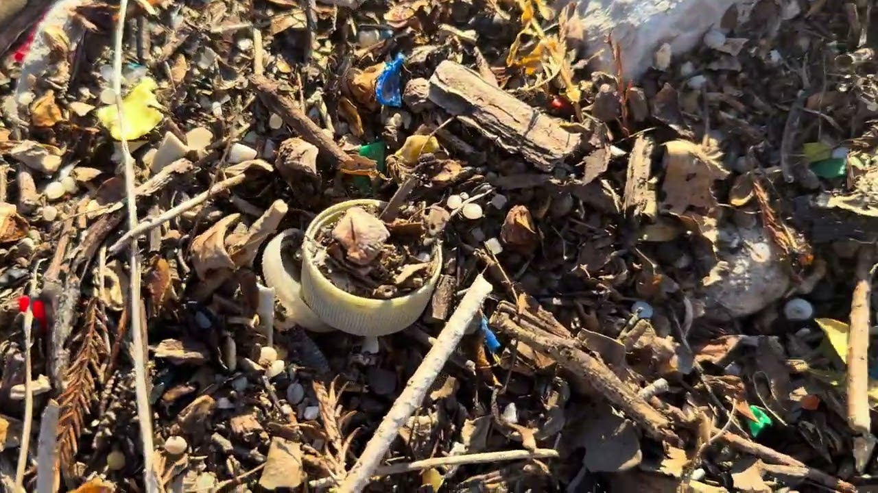 Capturing nurdles, stopping plastic pollution
