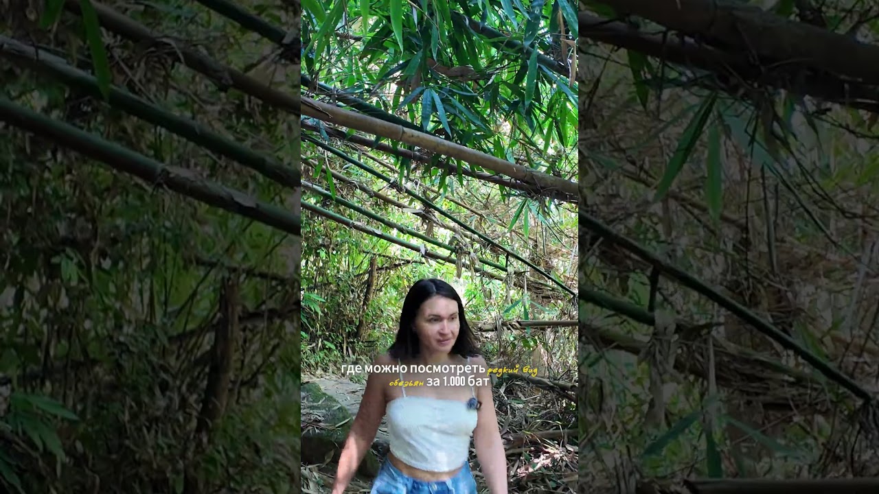 Называется Bang Pae Waterfall 