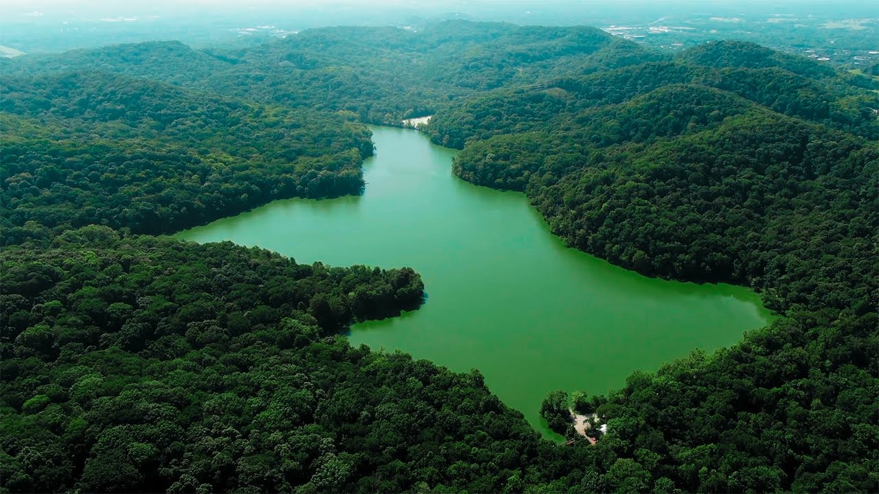 Drone Footages of Nature Forest 4K Stock Videos | Free stock footage - No Copyright | All Video Free