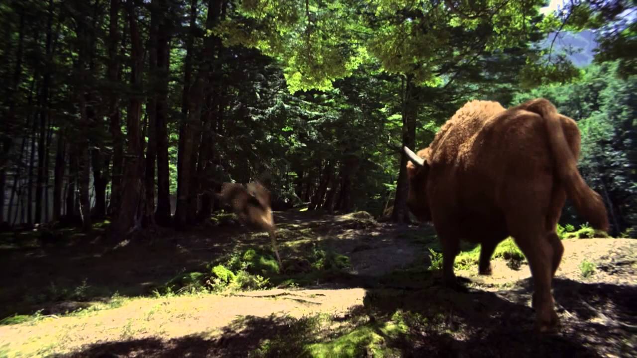 ZUBR beer commercial - Stag