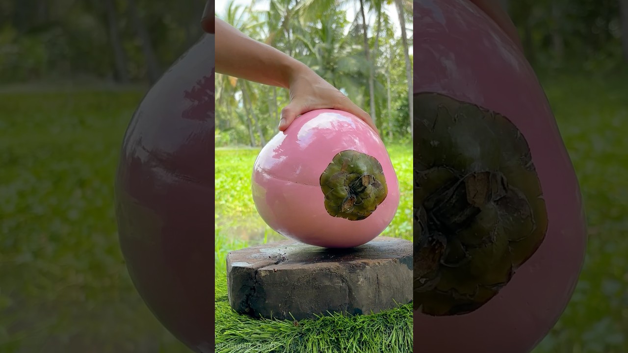 Kokos g&oacute;rski z Sanhok