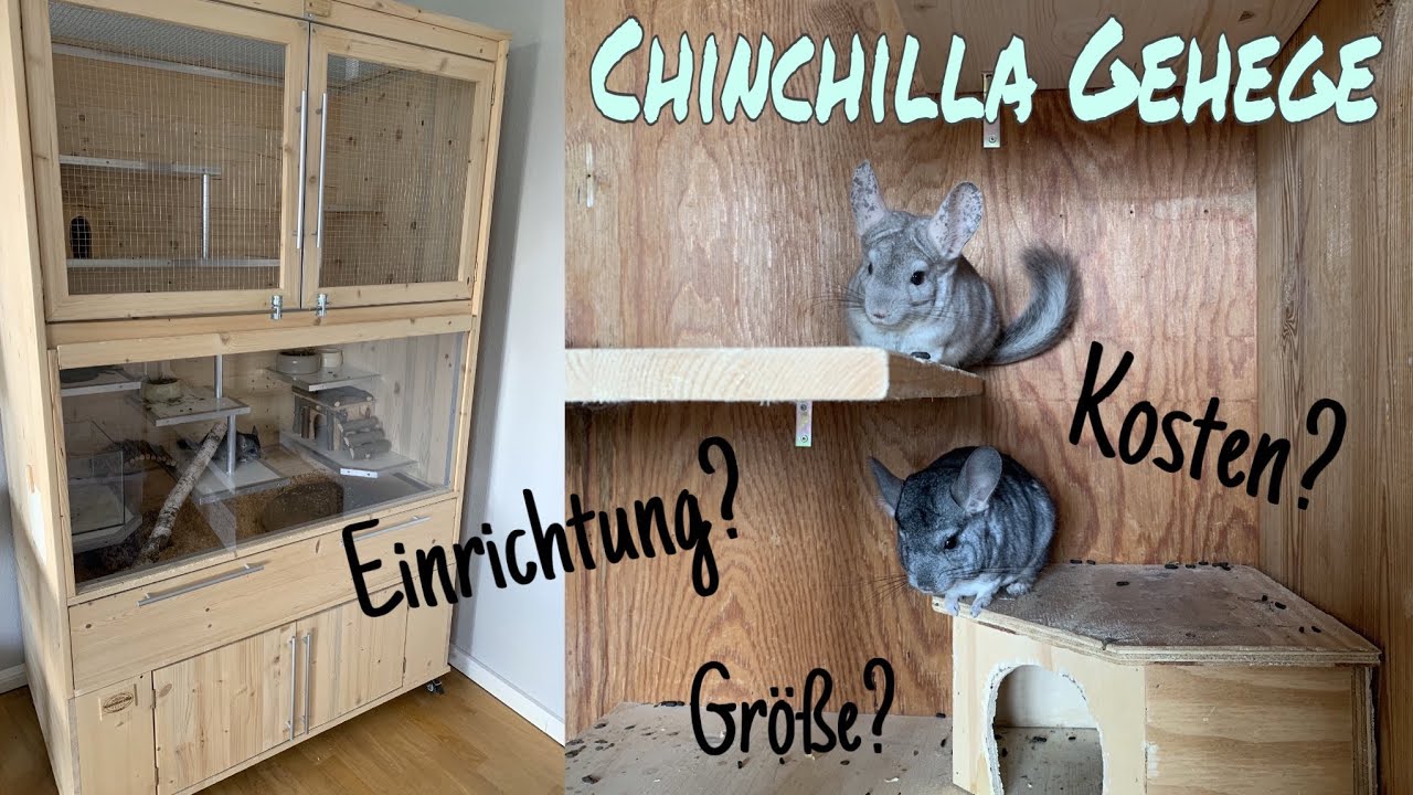 Das perfekte Chinchilla Gehege?! (Mindestmaße veraltet!)