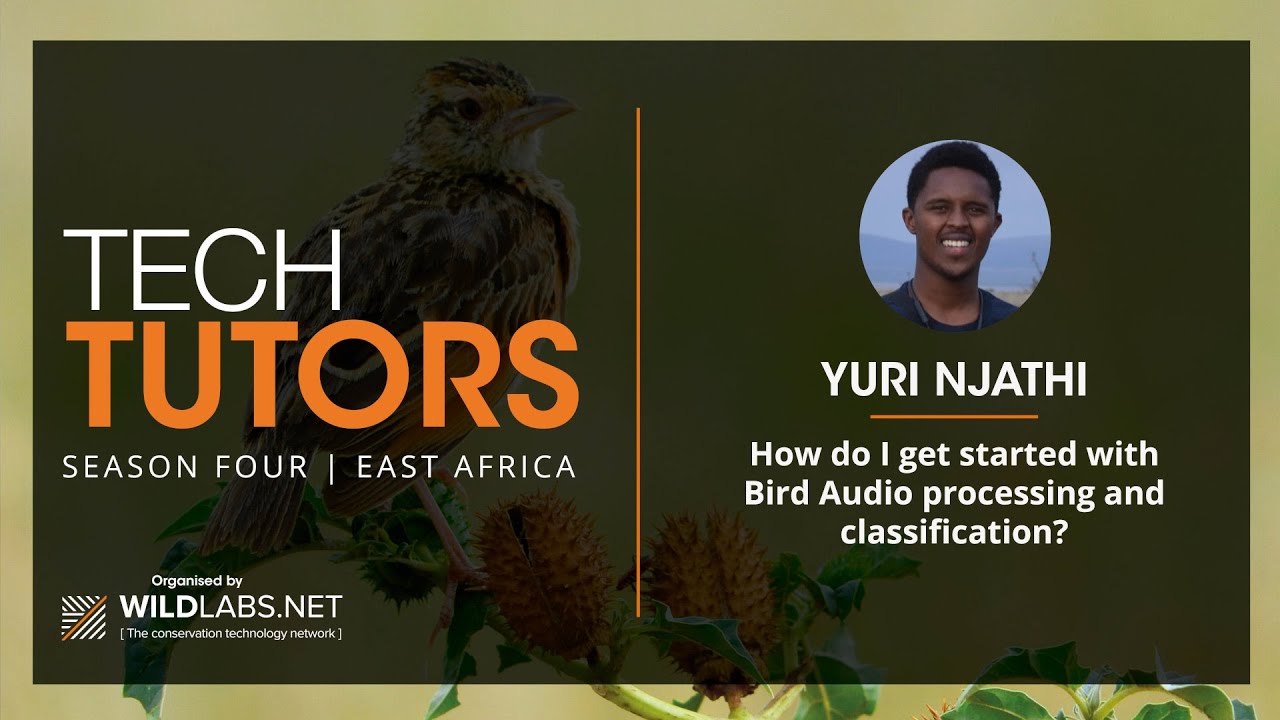 Yuri Njathi: How do I get started with Bird Audio processing and classification?