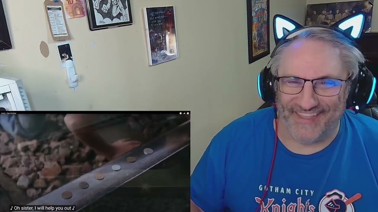 Avicii   Hey Brother Reaction Request