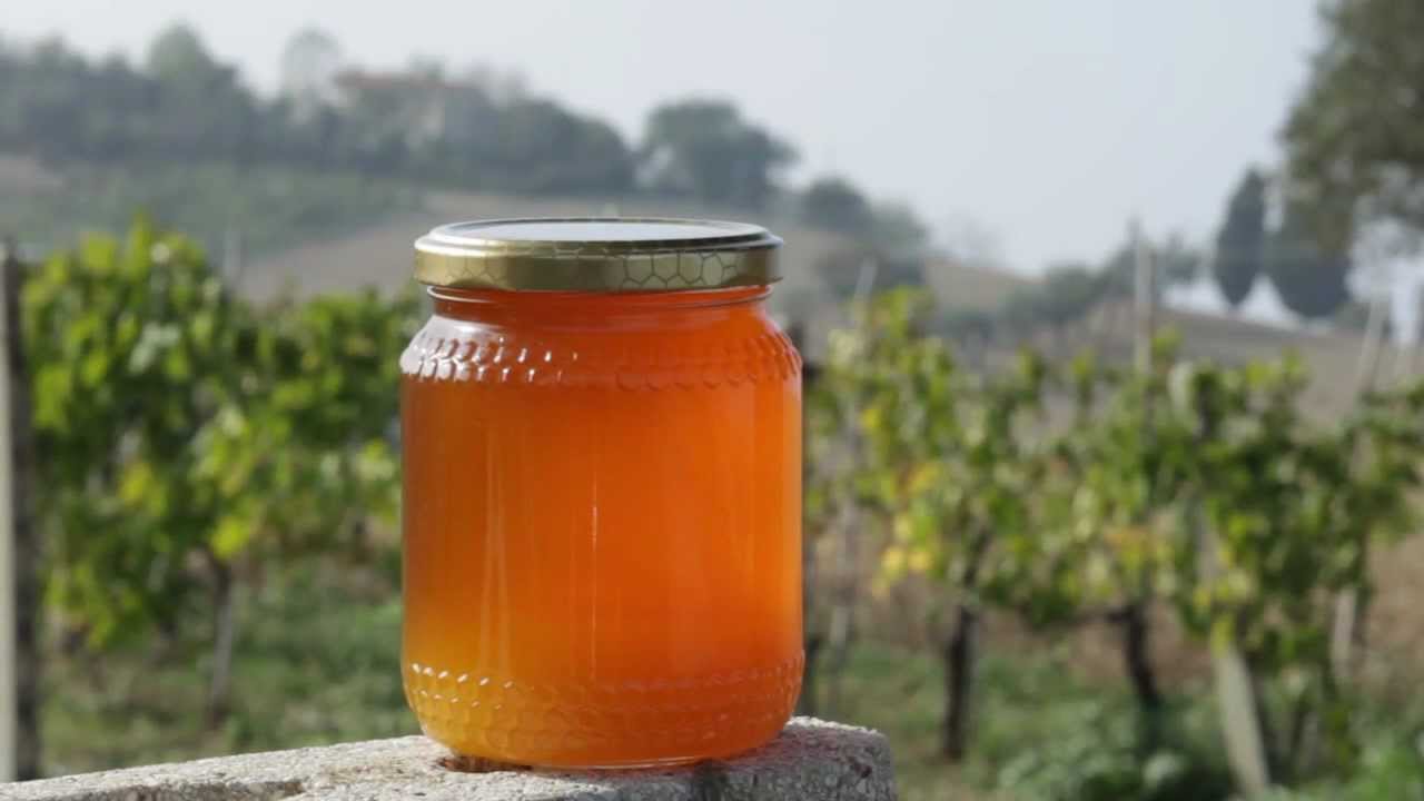 IL MIELE: il sapore della terra