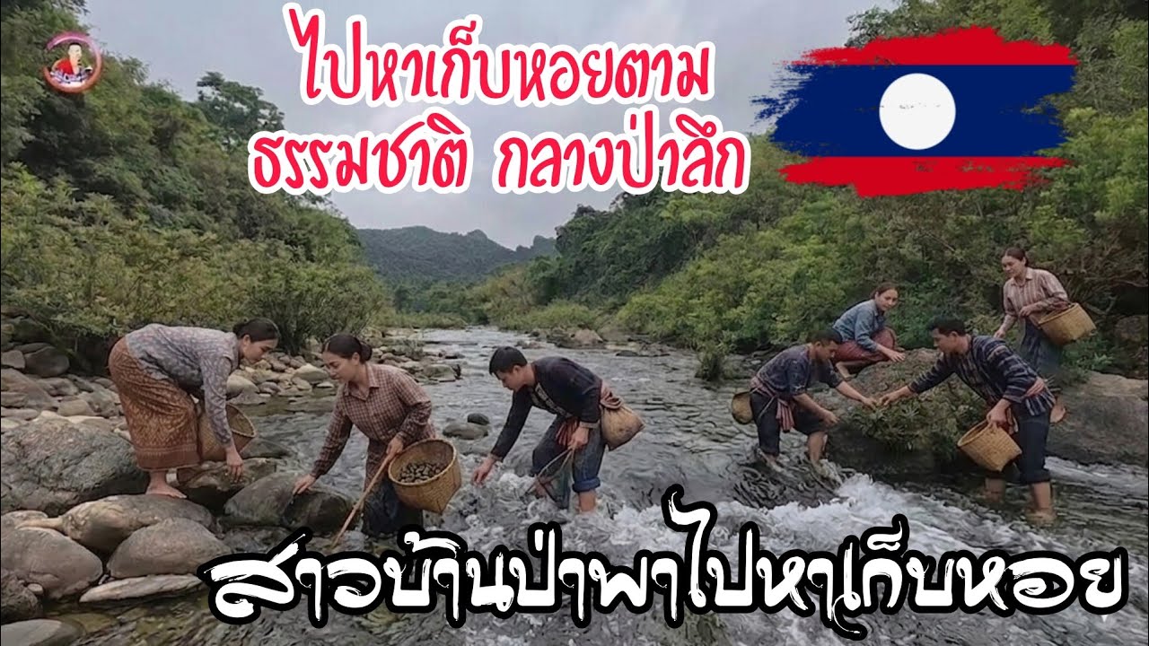 สาวลาวบ้านป่า พาบ่าวตุ๊กและทีมงาน ไปหาหอยในน้ำเซใหญ่กลางป่าลึก นี่คือสวรรค์บนดิน หาอยู่หากินสบาย