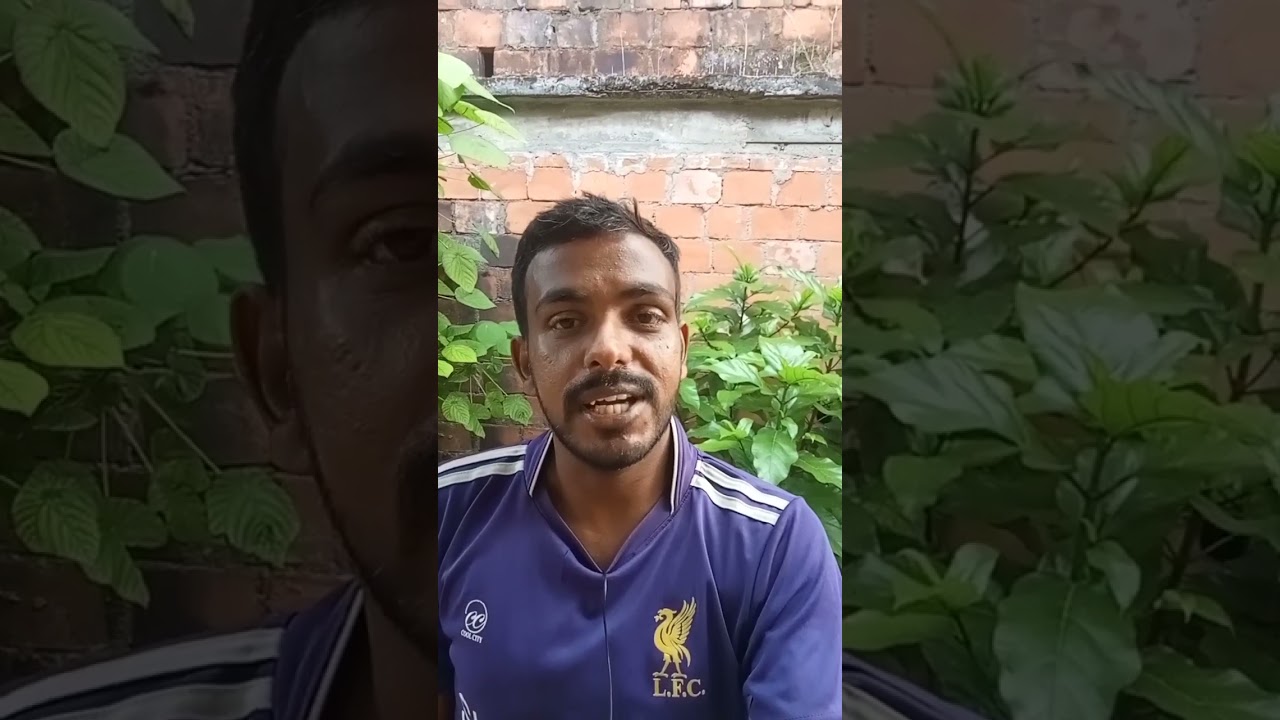 Palakkad bypoll 2024