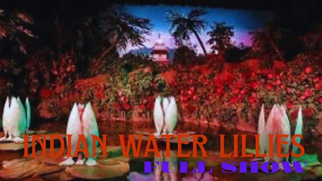 Indian Water Lillies Full Show POV