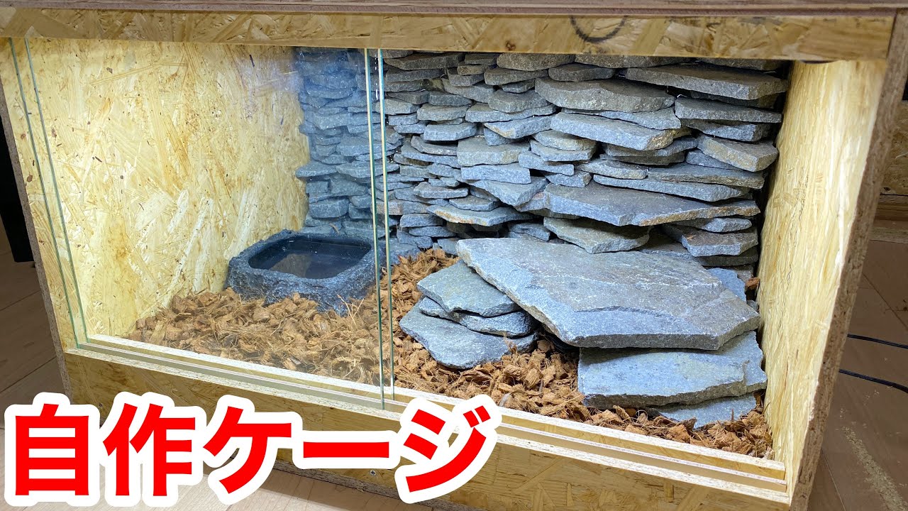 石の壁を使ってオシャレな爬虫類ケージを自作！設計図も公開します