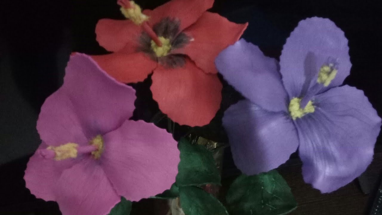 ibiscus realistico in crepla