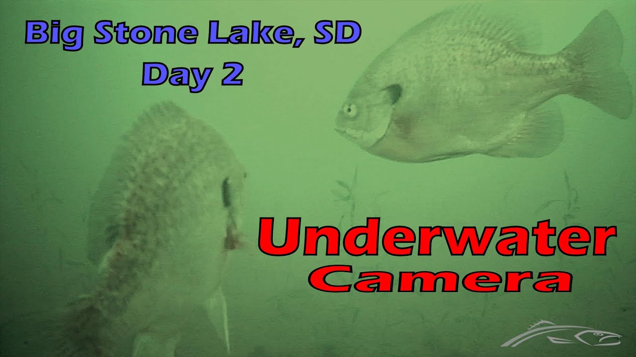 Big Stone Lake Day 2, Ice Fishing for Perch and Bluegills,  Great Underwater Camera Footage