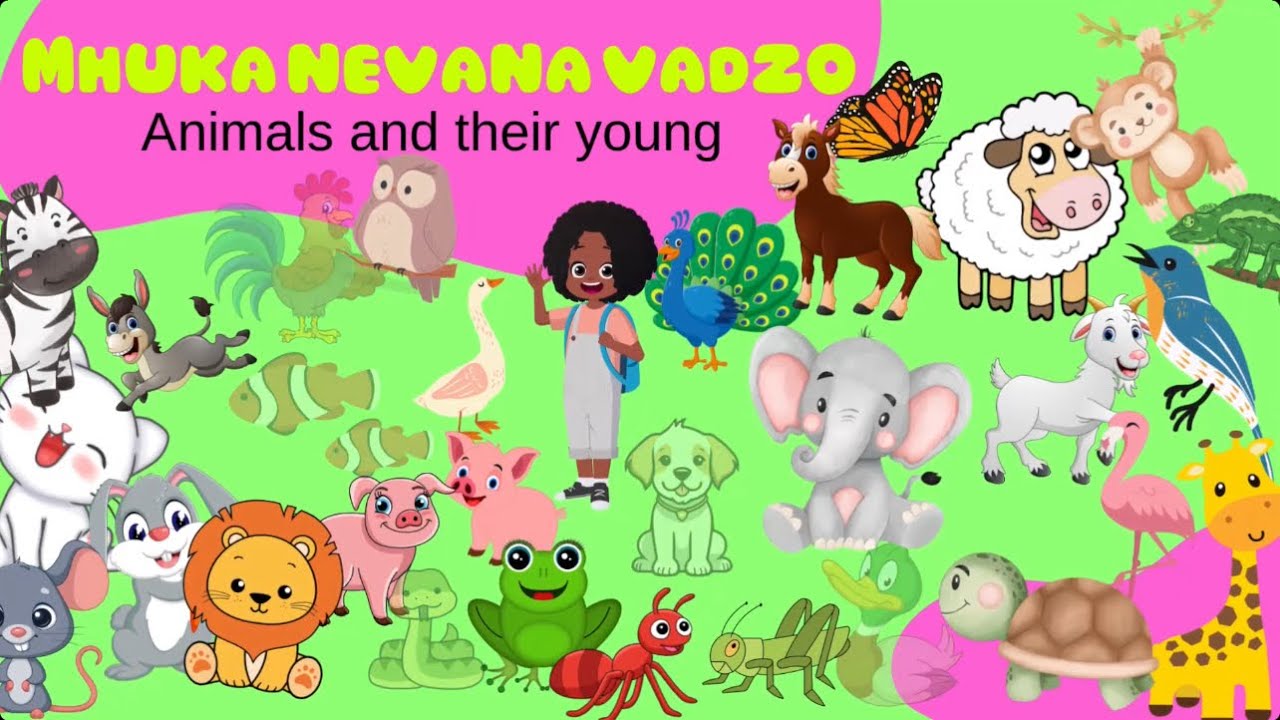 Shona Baby Animal Names + Baby Shark Dance