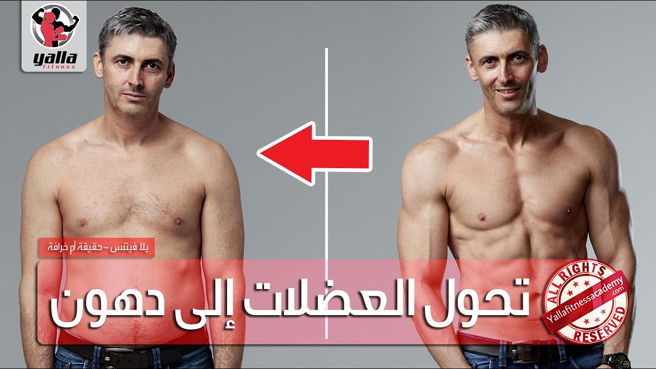 تحول العضلات إلى دهون بعد التوقف عن التمرين