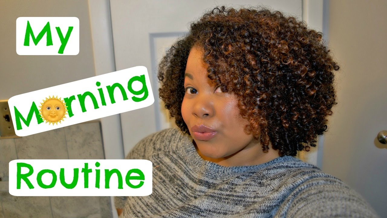 Morning Routine 2017 | How I Refresh My Wash n Go | Natural Hair