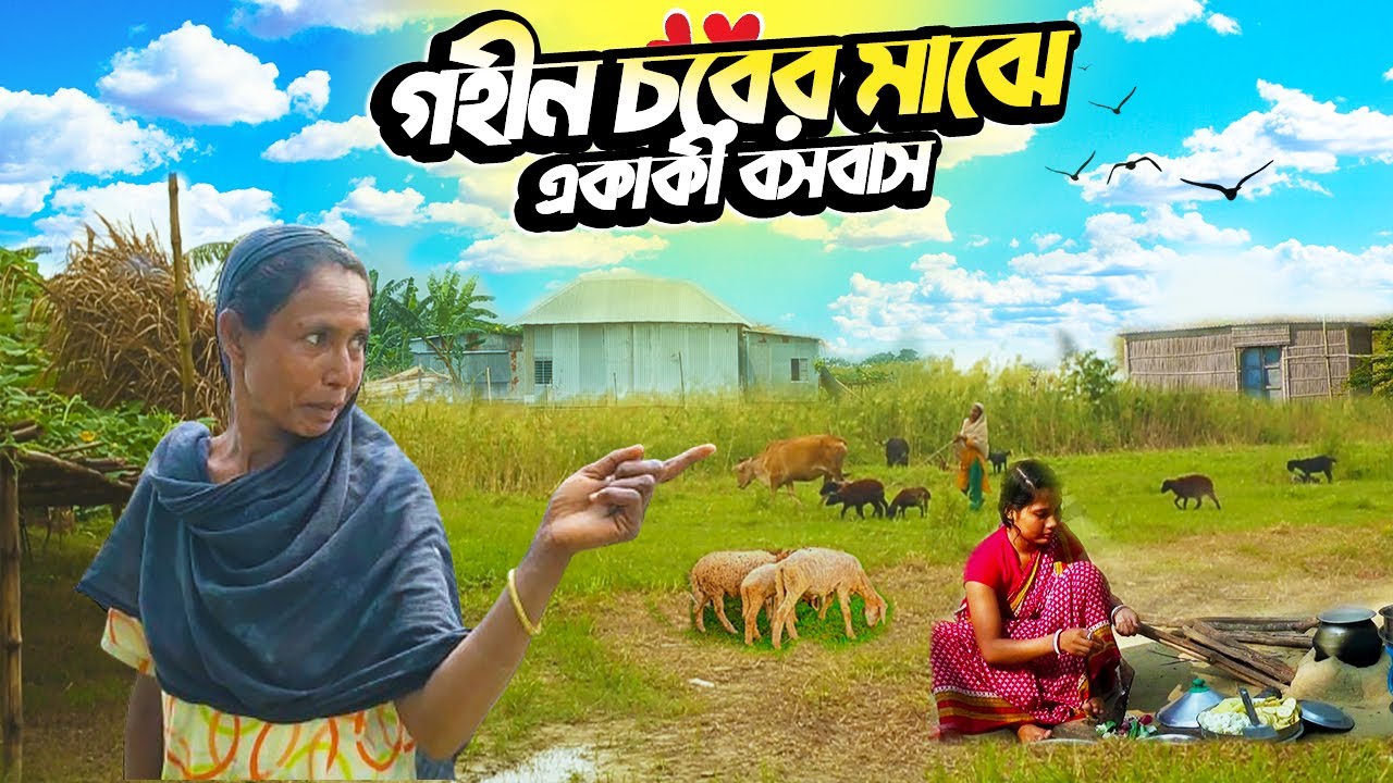 ধু-ধু চরের মাঝখানে আশ্চর্যময়!! একাকী বসবাস এক ভিন্নরকম জীবন | Village Life | Char Rural Life of BD