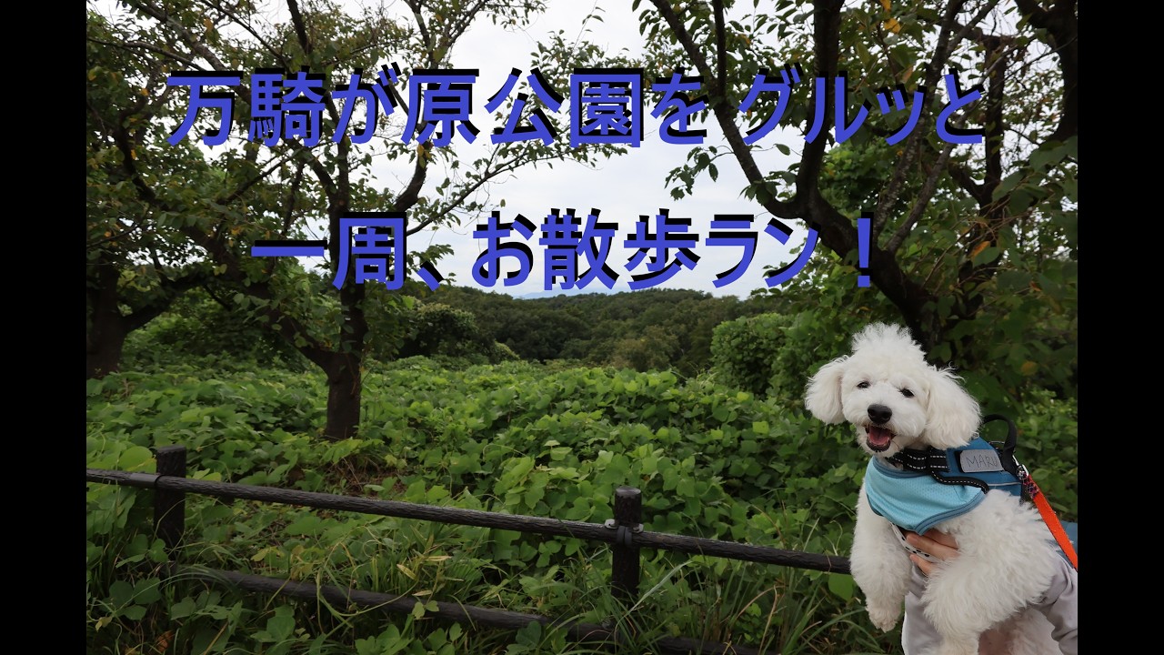 万騎が原公園を グルッと お散歩ラン！